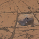 Image for article titled Curiosity Has Stumbled Upon A Unique Mineral Patch